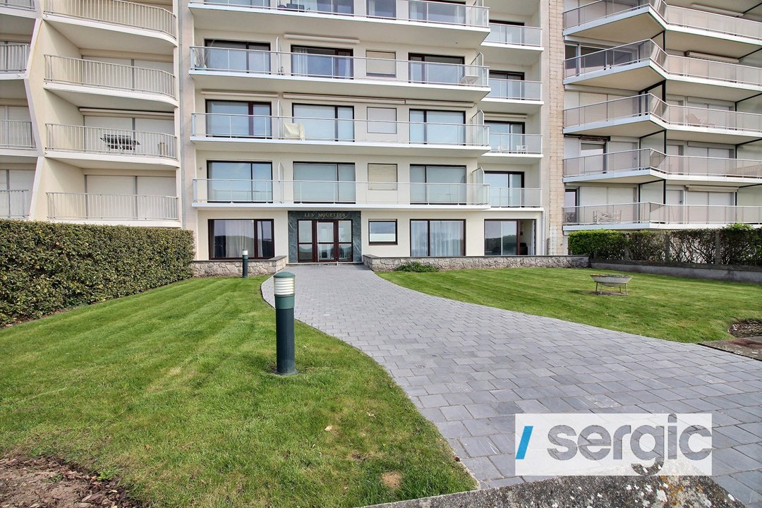 /picture/helios/116252002/MOUETTES 2RDC/6_2026-03-06CET08h00-04.jpg